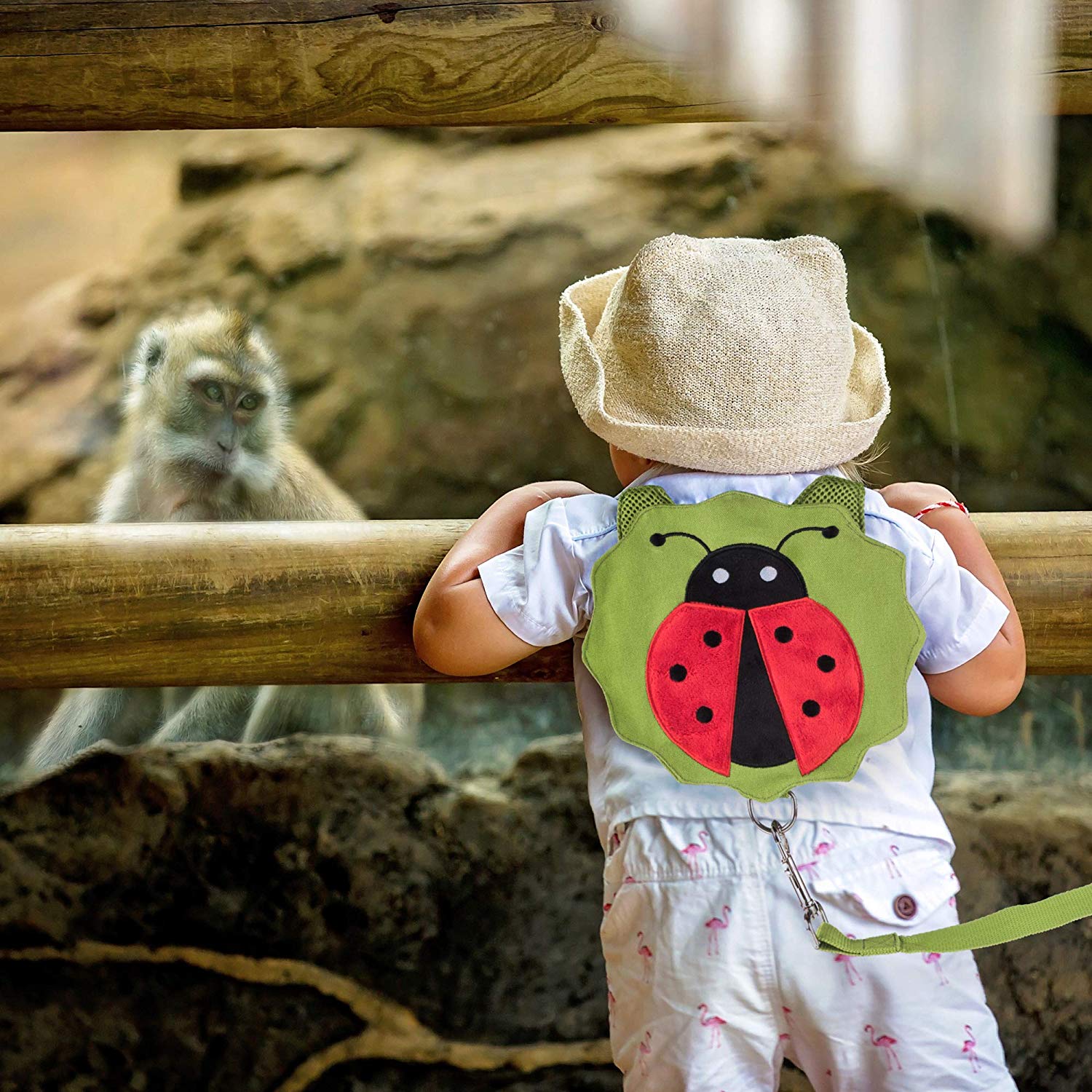 Ladybird backpack harness